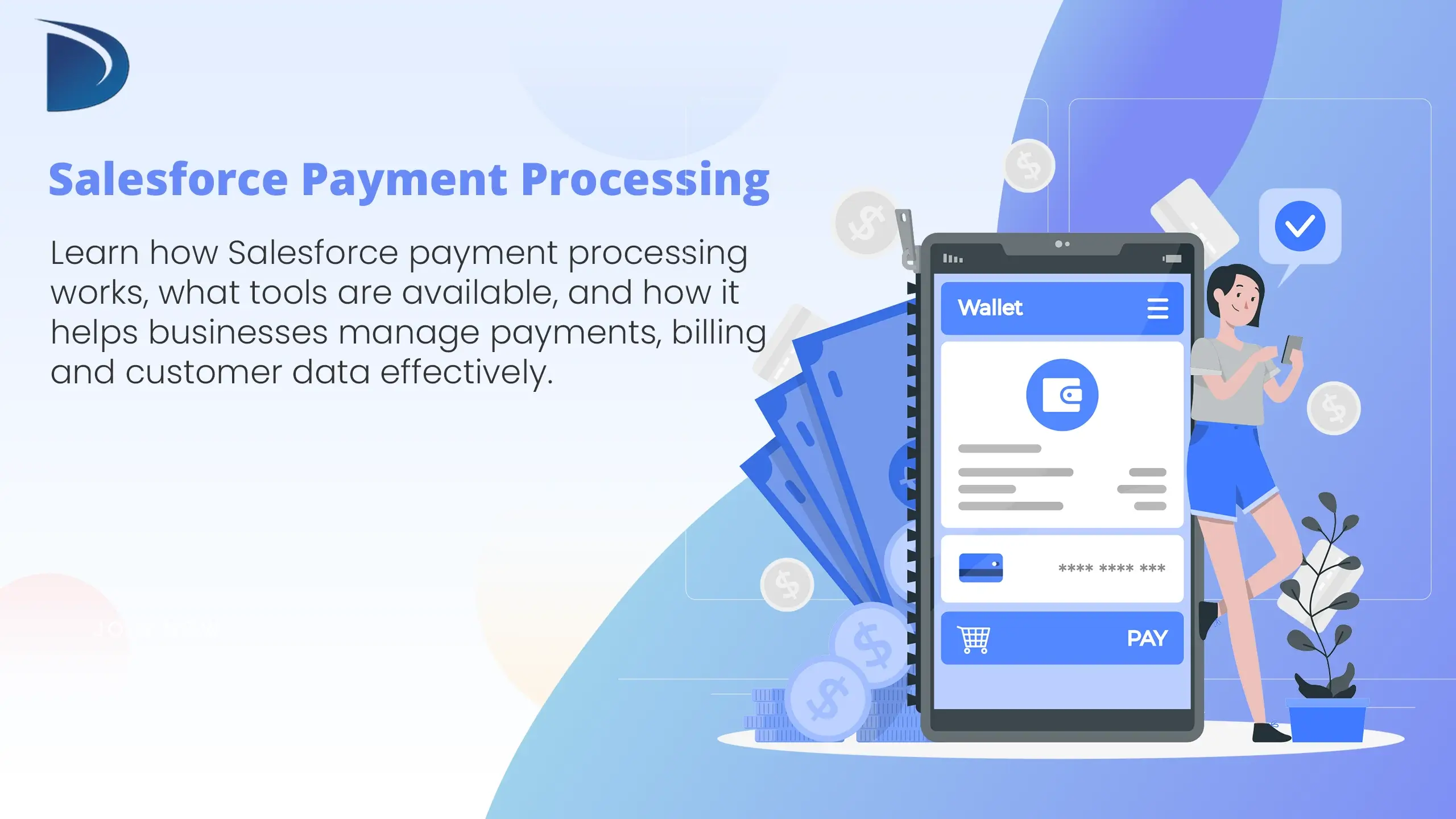 Salesforce payment processing